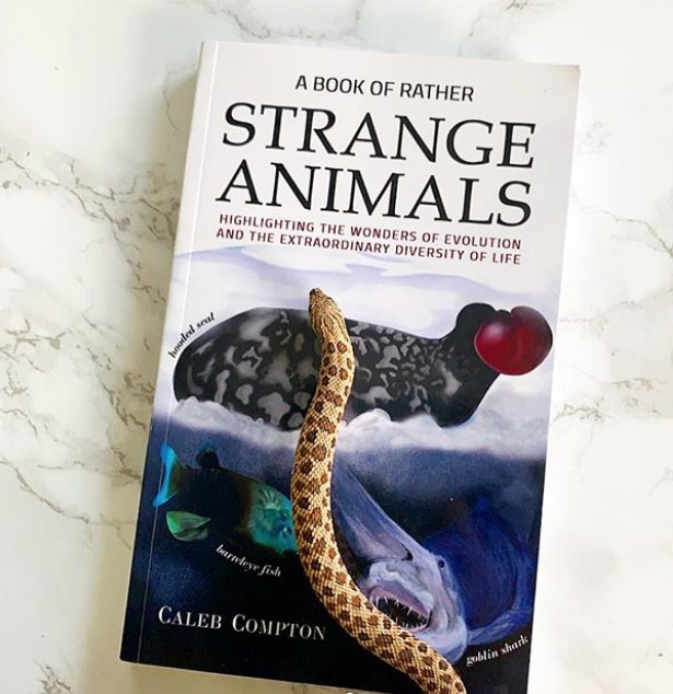 Zoo Educator Zowie Featured A Book of Rather Strange Animals by Caleb Compton on Her Instagram Account